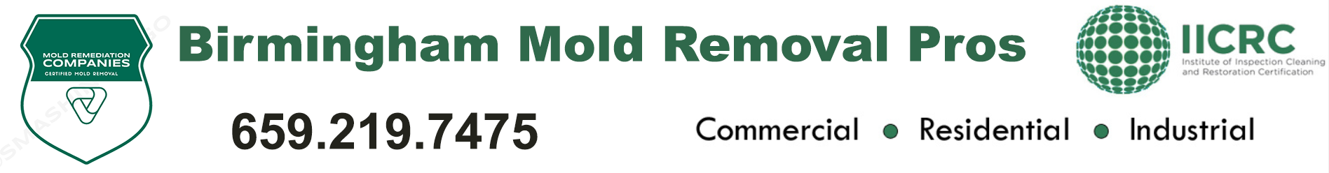 Birmingham Mold Removal Pros